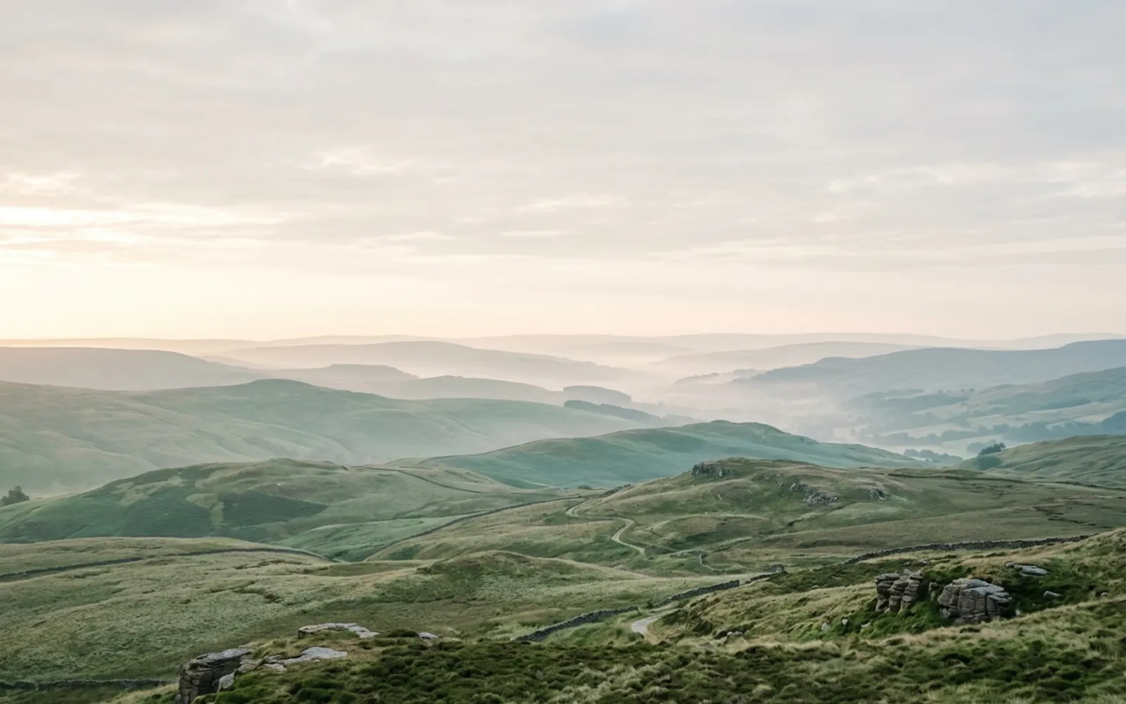 Building a sustainable business group